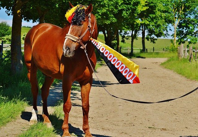 离不开他所 离不开他所