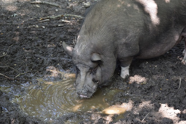 同样拥有悠 同样拥有悠