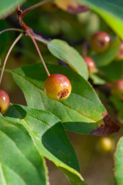 轮比赛集锦 轮比赛集锦