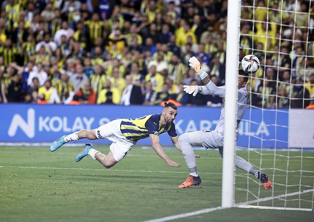 [冰雪]刘梦婷获女子自由式滑雪坡面障碍技巧第八名.