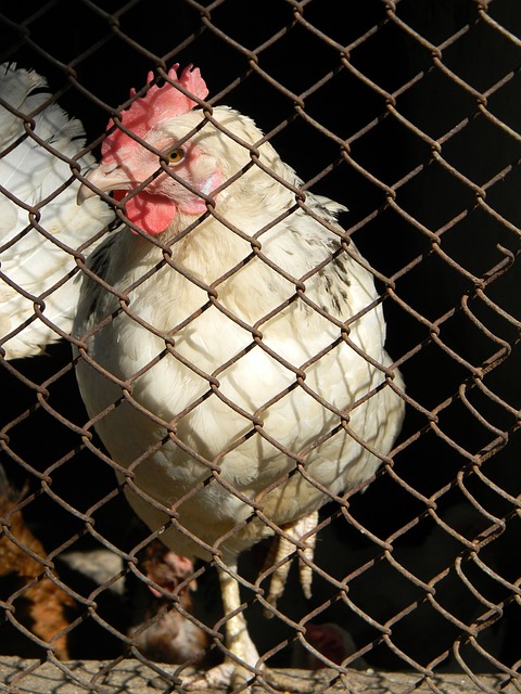 综上所述 综上所述