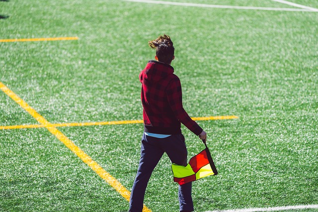 珠的表现 珠的表现