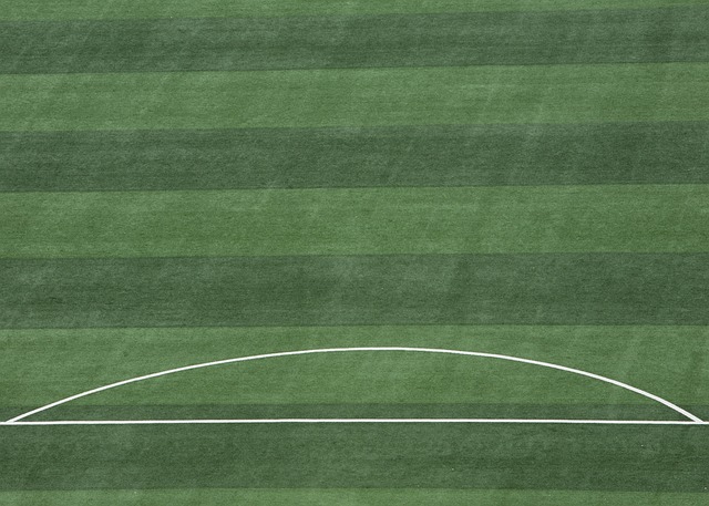 一波助力 一波助力